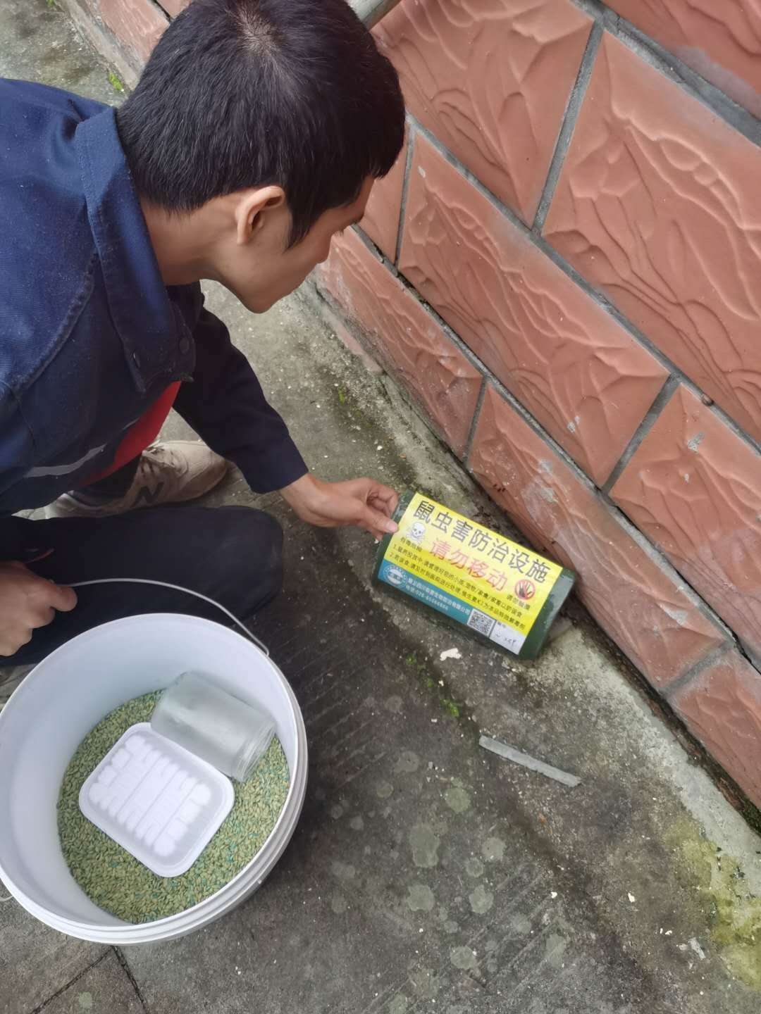 攀枝花除四害